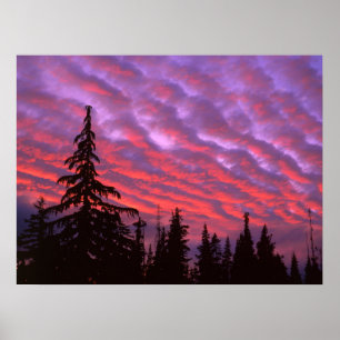 Póster Silvestre de tres hermanas, Oregón