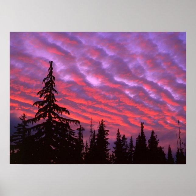 Póster Silvestre de tres hermanas, Oregón (Frente)