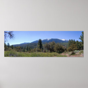 Póster Silvicultura de San Gorgonio