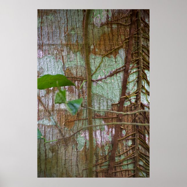 Póster Simbiosis (Frente)