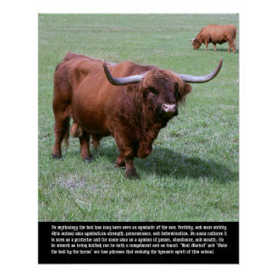 Póster Simbolismo de toros