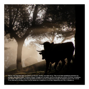 Póster Simbolismo de toros