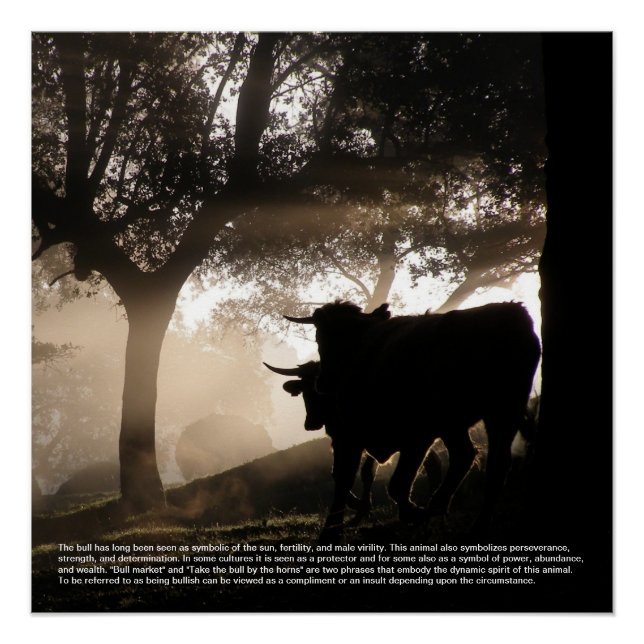 Póster Simbolismo de toros (Anverso)