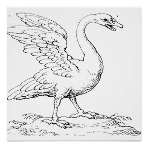 Póster Símbolo de cisne de amor y fidelidad Arte refinado