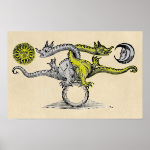 Póster Símbolo de dragón dorado y plateado