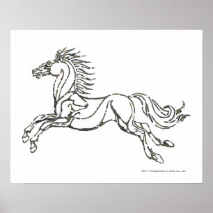 Póster Símbolo de Rohan