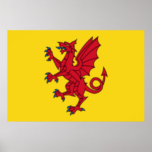 Póster Símbolo del dragón de la bandera de Somerset