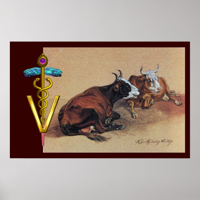 PÓSTER SÍMBOLO VETERINARIO CADUCEUS DE DOS VACAS MENORES (Frente)