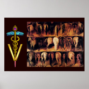 PÓSTER SÍMBOLO VETERINARIO DE HIDROS / CADUCEUS