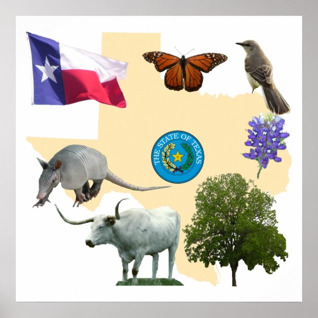 Póster Símbolos del Estado de Texas (Frente)