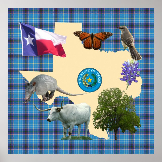 Póster Símbolos del Estado de Texas (Frente)