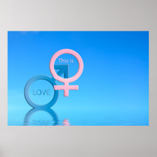 Póster Símbolos masculinos y femeninos