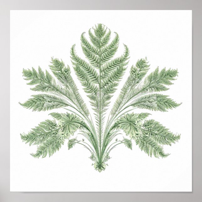 Póster Simetría Botánica Intrincada: Flora Fractal (Frente)