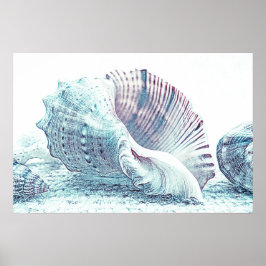 Póster Simple Hand-sketch Seashell Drawing | Poster
