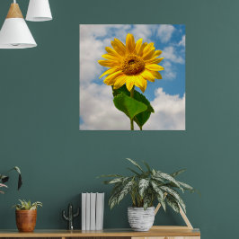 Póster Simple Sunflower Floral Fotografía Botánica Canv
