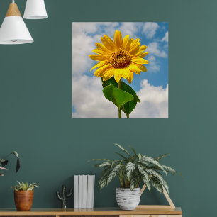 Póster Simple Sunflower Floral Fotografía Botánica Canv