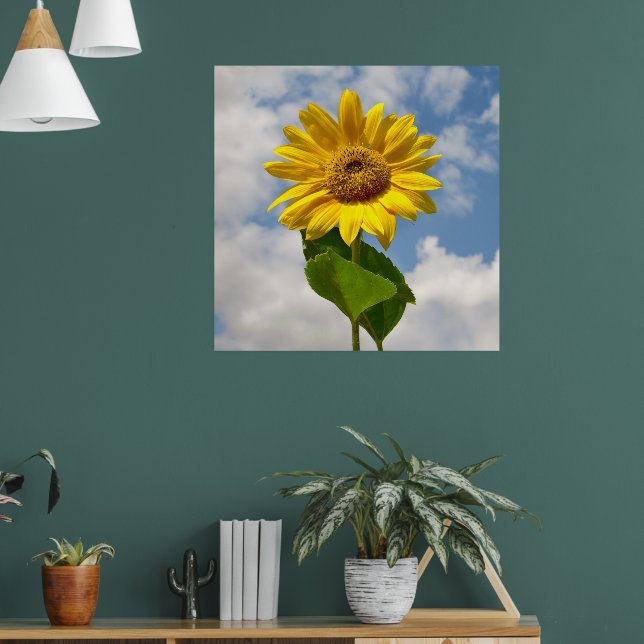 Póster Simple Sunflower Floral Fotografía Botánica Canv (Salón 1)
