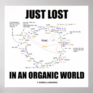 Póster Simplemente Perdido En Un Mundo Orgánico (Ciclo Kr