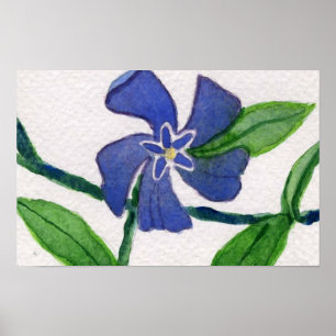 Póster Simplemente Vinca 2