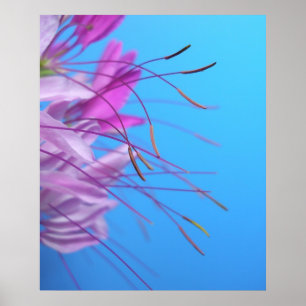 Póster Simplicidad en colores pastel