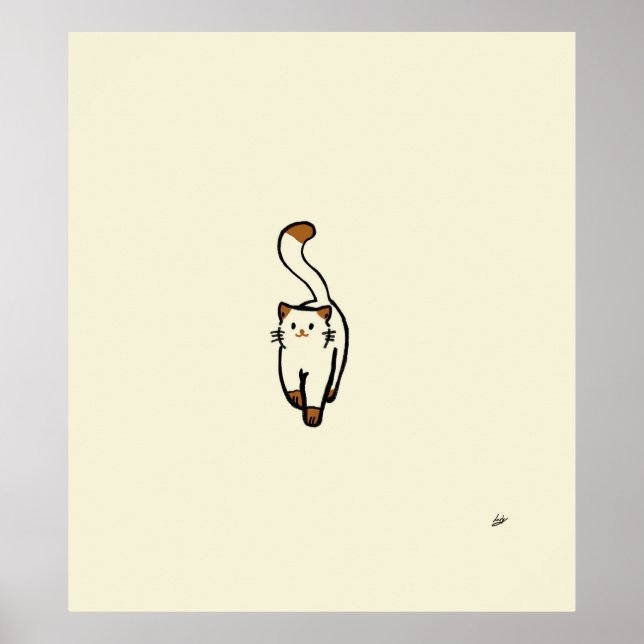 Póster Simplicity N14 (Frente)