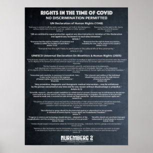 Póster "Sin discriminación" Derechos humanos Poster peque