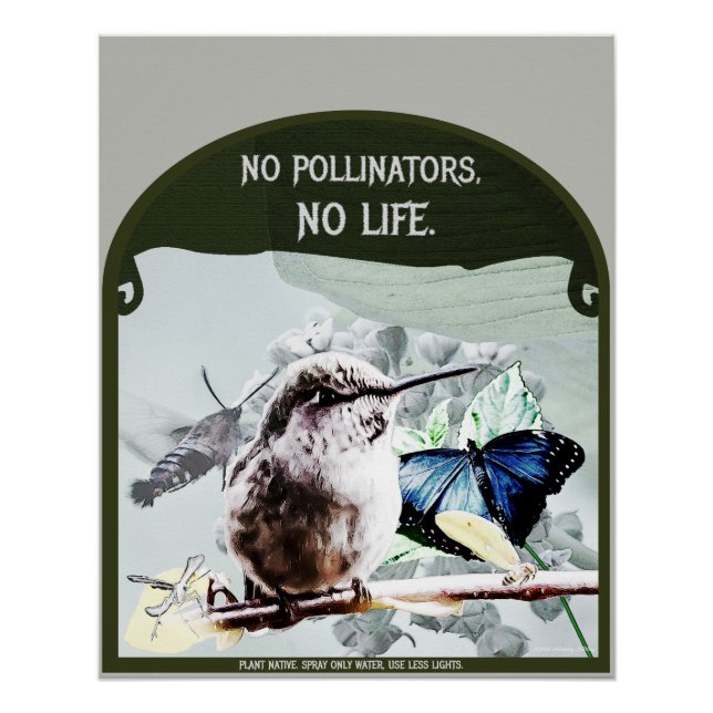 Póster Sin polinizadores, sin vida (Anverso)