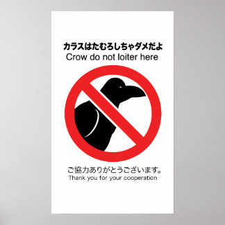 Póster Sin Poster Crow