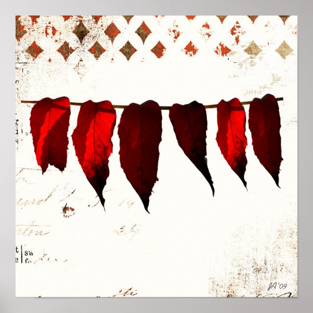 Póster sin título (Frente)