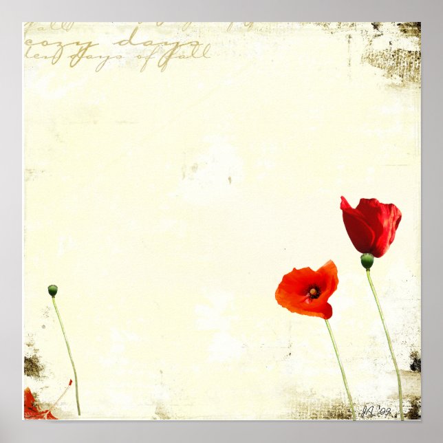 Póster sin título (Frente)