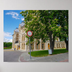 Póster Sinagoga de arquitectura del paisaje urbano de Bie