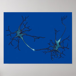 Póster Sinapsis entre neuronas, neuronas neurocientíficas