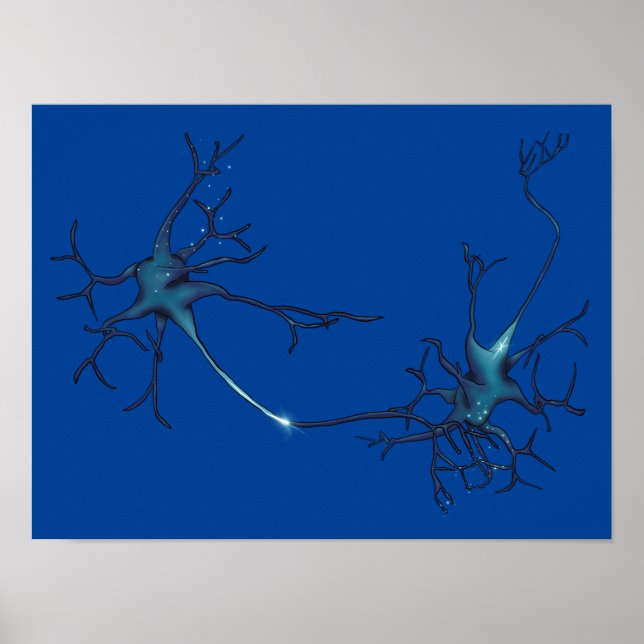 Póster Sinapsis entre neuronas, neuronas neurocientíficas (Frente)