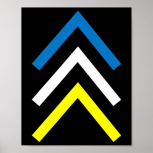 Póster Síndrome de Down Tres Flechas Cromosómicas Concien