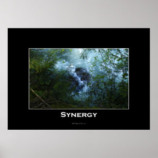 Póster SINERGIA Poster Inspirador del río