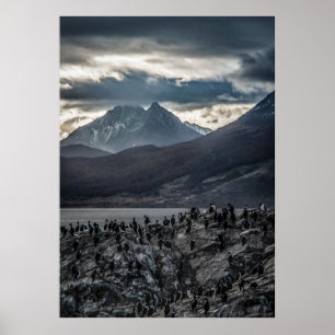 Póster Sinfonía de la naturaleza: un retrato de lo salvaj