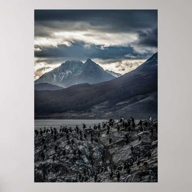 Póster Sinfonía de la naturaleza: un retrato de lo salvaj (Frente)