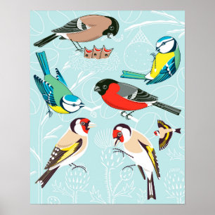 Póster Singing Birds
