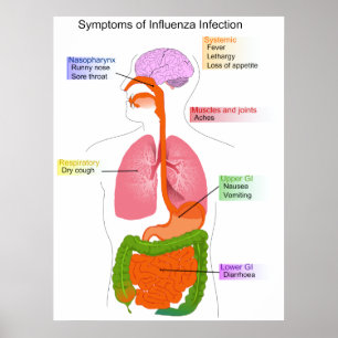 Póster Síntomas principales de un diagrama de infección p