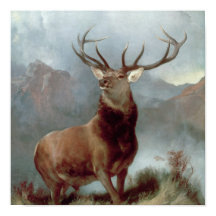 Sir Edwin Landseer | Monarca del Glen, 1851