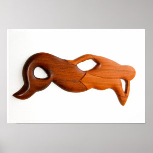 Póster sirena de observación de bronca