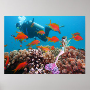 Póster Sirena Famosa