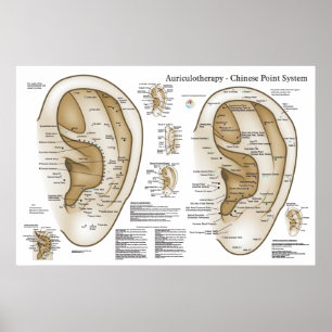 Póster Sistema chino de acupuntura auricular