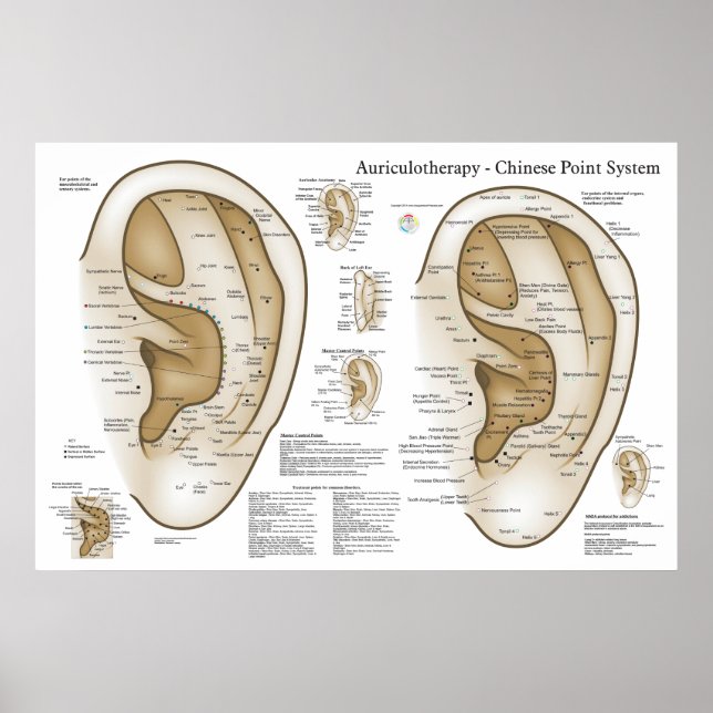 Póster Sistema chino de acupuntura auricular (Frente)