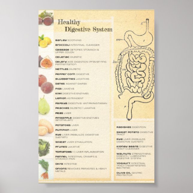 Póster Sistema digestivo saludable (Frente)