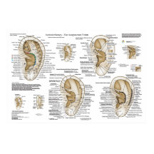 Sistema Europeo Auriculoterapia Acupuntura ocular