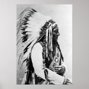 Póster Sitting Bull, a Hunkpapa Sioux