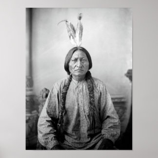 Póster Sitting Bull Portrait - Circa 1883