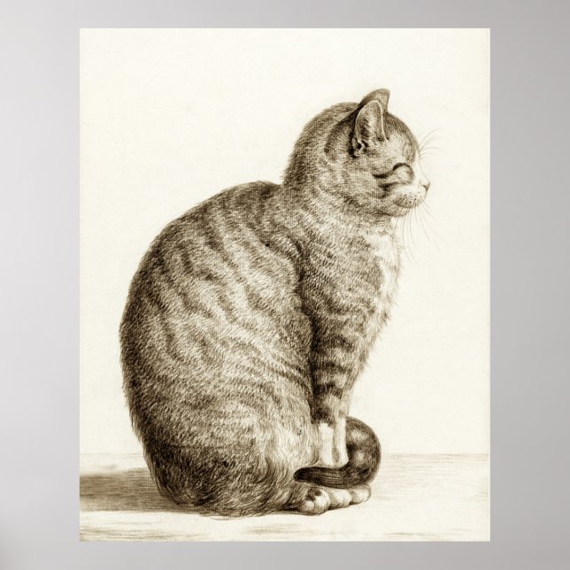 Póster Sitting cat vintage sepia pencil drawing (Frente)
