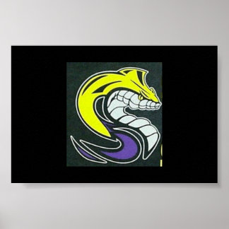 Póster SK Cobra